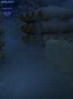 worldbeyond206_scnet_1397.jpg