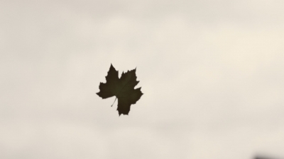worldbeyond208_scnet_1906.jpg