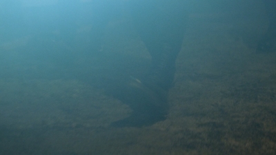 worldbeyond209_scnet_0006.jpg