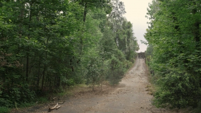 worldbeyond209_scnet_0811.jpg