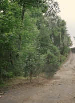 worldbeyond209_scnet_0810.jpg