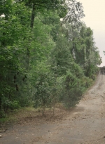 worldbeyond209_scnet_0811.jpg