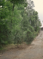 worldbeyond209_scnet_0815.jpg