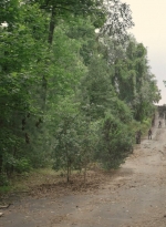 worldbeyond209_scnet_0821.jpg