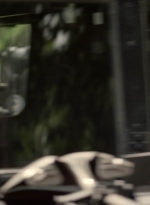 worldbeyond210_scnet_1140.jpg