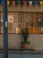 ftwd105_1275.jpg