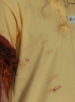 ftwd105_1395.jpg