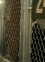 ftwd105_1862.jpg