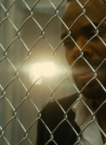 ftwd105_1921.jpg