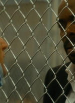 ftwd105_1925.jpg