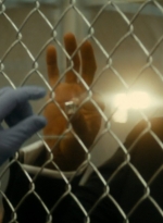 ftwd105_1932.jpg