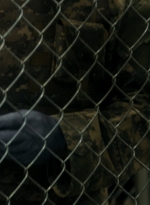 ftwd105_1950.jpg