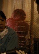 ftwd105_2814.jpg