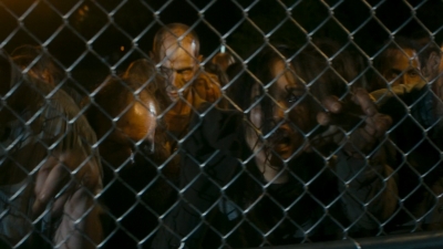 Click to view full size image
==============
ftwd106_1064.jpg ftwd106_1064.jpg