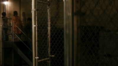 Click to view full size image
==============
ftwd106_1313.jpg ftwd106_1313.jpg