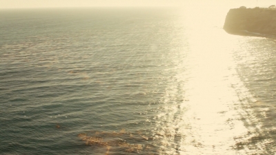 ftwd106_2624.jpg