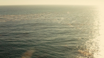 Click to view full size image
==============
ftwd106_2627.jpg ftwd106_2627.jpg