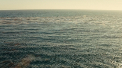 ftwd106_2631.jpg