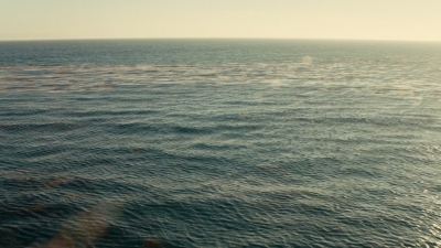 ftwd106_2632.jpg