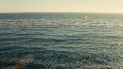 Click to view full size image
==============
ftwd106_2633.jpg ftwd106_2633.jpg