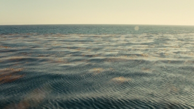 Click to view full size image
==============
ftwd106_2640.jpg ftwd106_2640.jpg