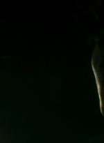 ftwd106_0825.jpg