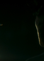 ftwd106_0826.jpg