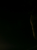 ftwd106_0840.jpg