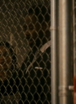 ftwd106_0945.jpg