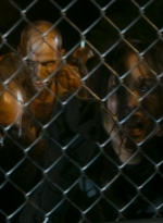 ftwd106_1064.jpg