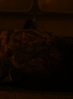 ftwd106_1227.jpg