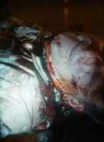 ftwd106_1253.jpg