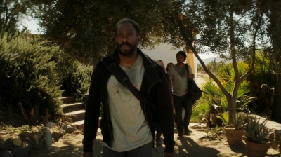 ftwd206_1079.jpg