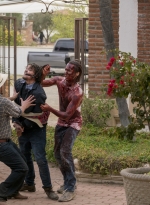 fear-the-walking-dead-s02e07-shiva-003.jpg