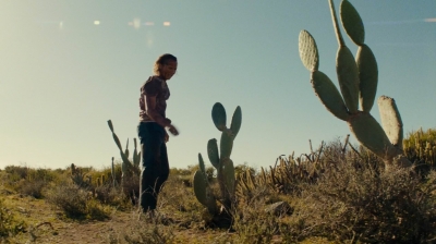 Click to view full size image
==============
ftwd208_1017.jpg ftwd208_1017.jpg