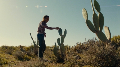 ftwd208_1018.jpg