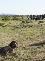 fear-the-walking-dead-s02e08-grotesque-011.jpg