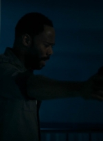 ftwd215_1198.jpg