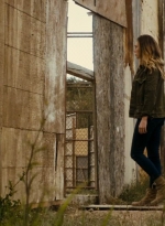 ftwd215_2160.jpg