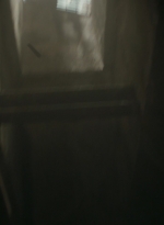 ftwd301_2284.jpg