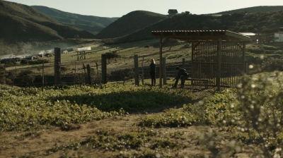 ftwd302_0883.jpg