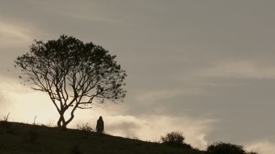 ftwd302_2706.jpg