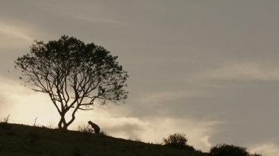 ftwd302_2710.jpg