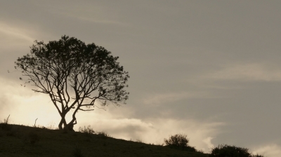 ftwd302_2714.jpg