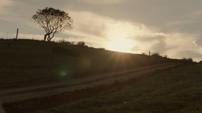 ftwd302_2733.jpg