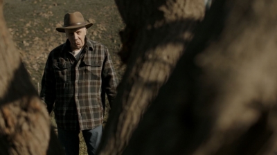 ftwd302_2765.jpg