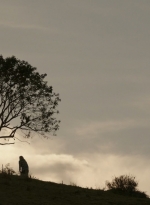 ftwd302_2708.jpg