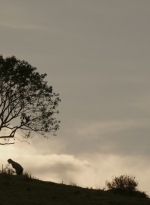 ftwd302_2710.jpg