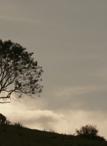 ftwd302_2711.jpg