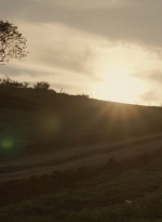 ftwd302_2738.jpg